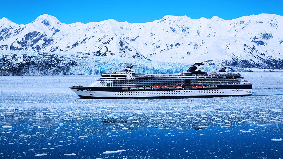 Share our story with the world through creative campaigns and strategic partnerships.