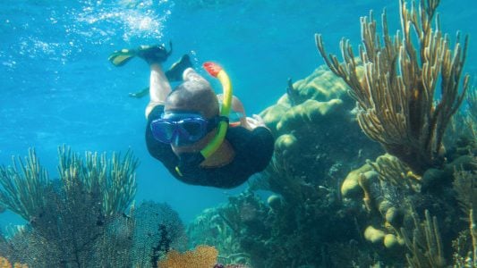 Royal Caribbean Group, Inter Miami CF and University of Miami Team Up to Bring ‘Coral Gardening’ to South Florida Community